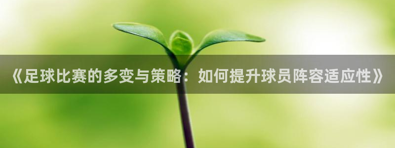 《足球比赛的多变与策略：如何提升球员阵容适应性》