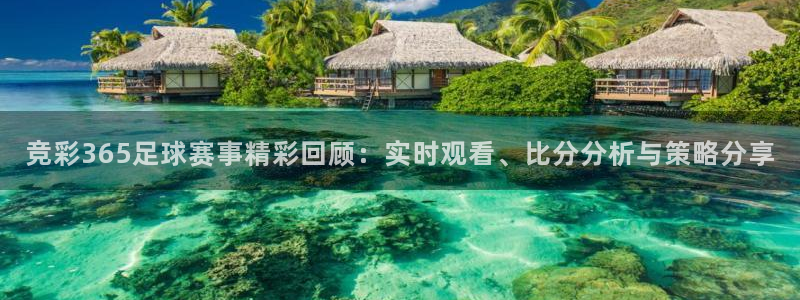 竞彩365足球赛事精彩回顾：实时观看、比分分析与策略分享