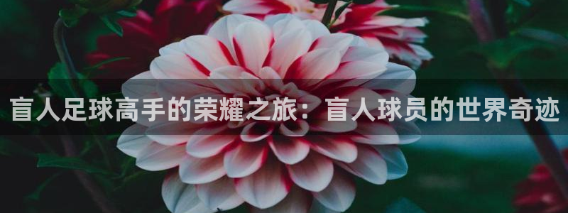  盲人足球高手的荣耀之旅：盲人球员的世界奇迹