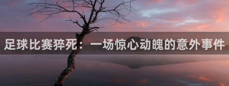  足球比赛猝死：一场惊心动魄的意外事件