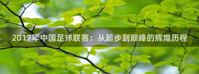 2017年中国足球联赛：从起步到巅峰的辉煌历程