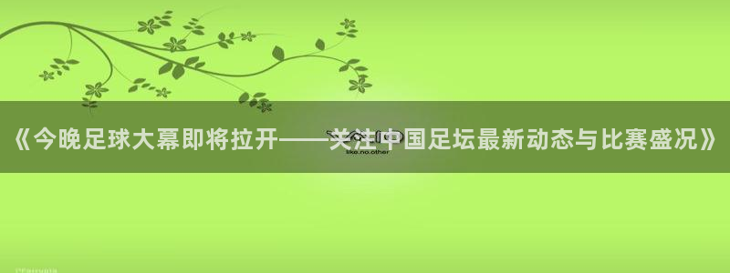  《今晚足球大幕即将拉开——关注中国足坛最新动态与比赛盛况》