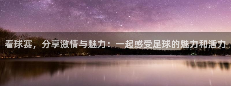  看球赛，分享激情与魅力：一起感受足球的魅力和活力