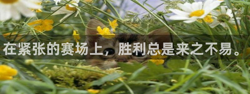 在紧张的赛场上，胜利总是来之不易。