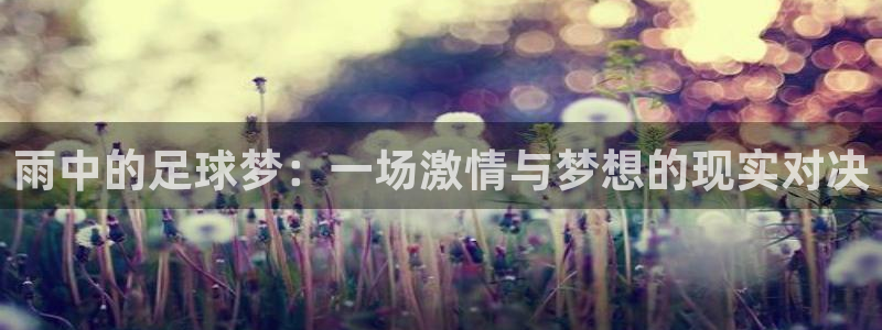 雨中的足球梦：一场激情与梦想的现实对
