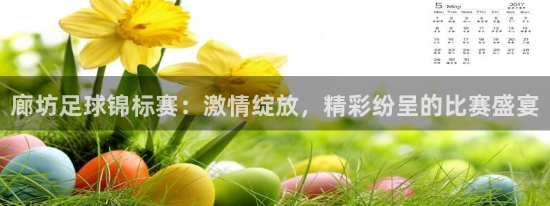 廊坊足球锦标赛：激情绽放，精彩纷呈的