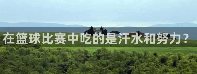 在篮球比赛中吃的是汗水和努力？