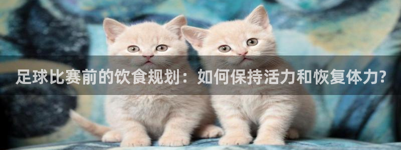  足球比赛前的饮食规划：如何保持活力和恢复体力?