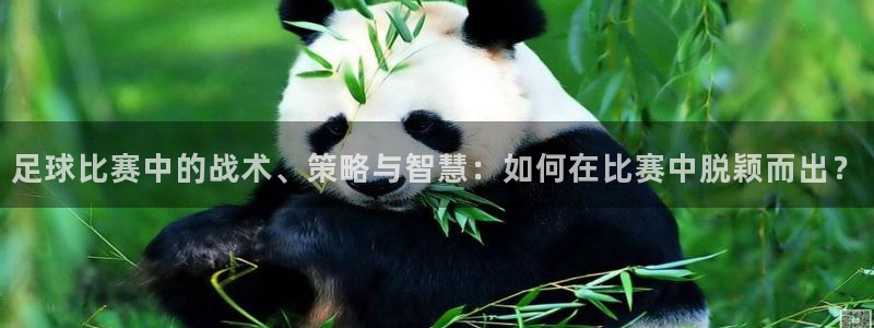  足球比赛中的战术、策略与智慧：如何在比赛中脱颖而出？