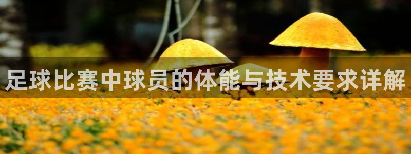  足球比赛中球员的体能与技术要求详解