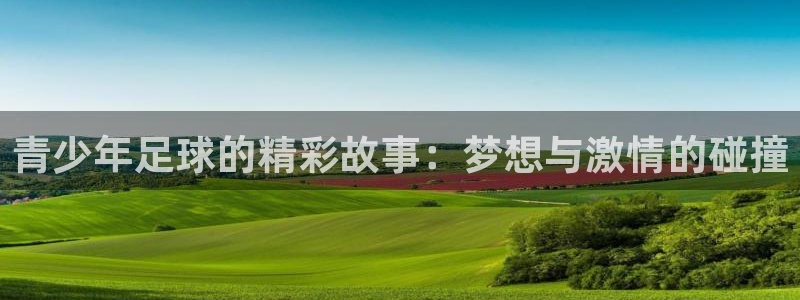 青少年足球的精彩故事：梦想与激情的碰撞