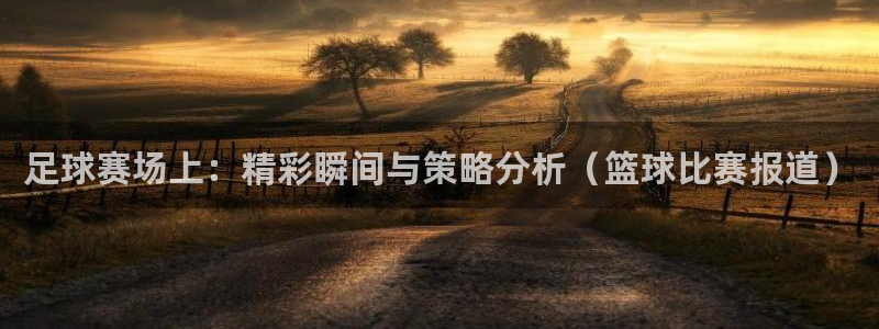  足球赛场上：精彩瞬间与策略分析（篮球比赛报道）