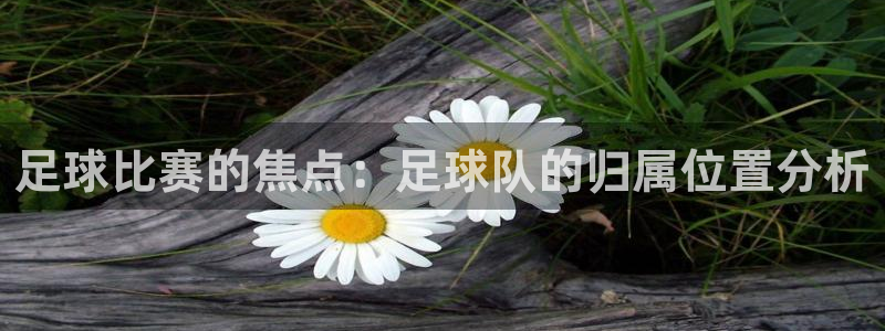  足球比赛的焦点：足球队的归属位置分析