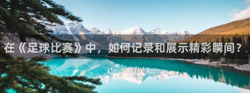 在《足球比赛》中，如何记录和展示精彩瞬间？