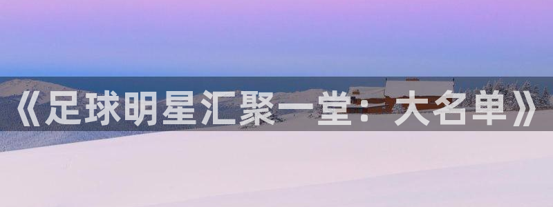  《足球明星汇聚一堂：大名单》