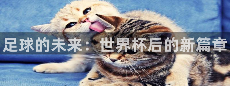 足球的未来：世界杯后的新篇章