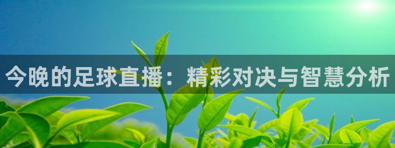  今晚的足球直播：精彩对决与智慧分析