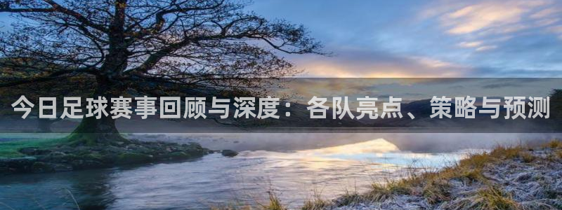  今日足球赛事回顾与深度：各队亮点、策略与预测