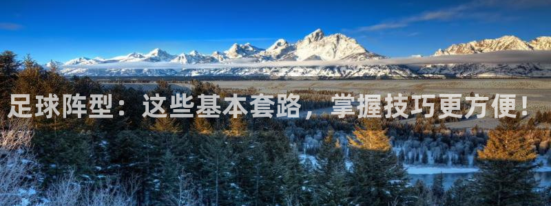  足球阵型：这些基本套路，掌握技巧更方便！