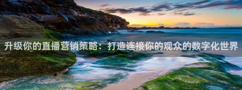 斗球直播安卓app下载：升级你的直播营销策略：打造连接你的观众的数字化世界