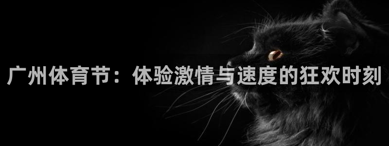 斗球tv：广州体育节：体验激情与速度的狂欢时刻