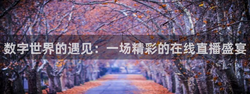 斗球24小时直播在线观看：数字世界的遇见：一场精彩的在线直播盛宴