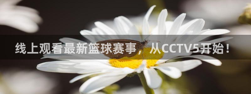 斗球直播网址：线上观看最新篮球赛事，从CCTV5开始！