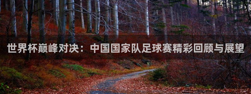 世界杯巅峰对决：中国国家队足球赛精彩
