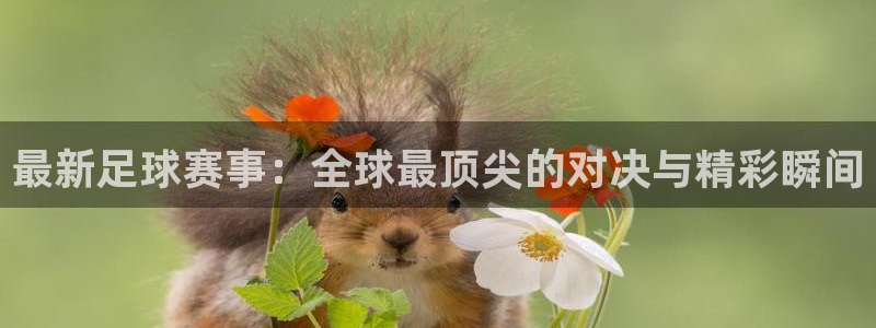 最新足球赛事：全球最顶尖的对决与精彩