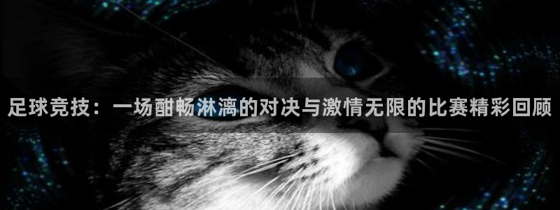 足球竞技：一场酣畅淋漓的对决与激情无