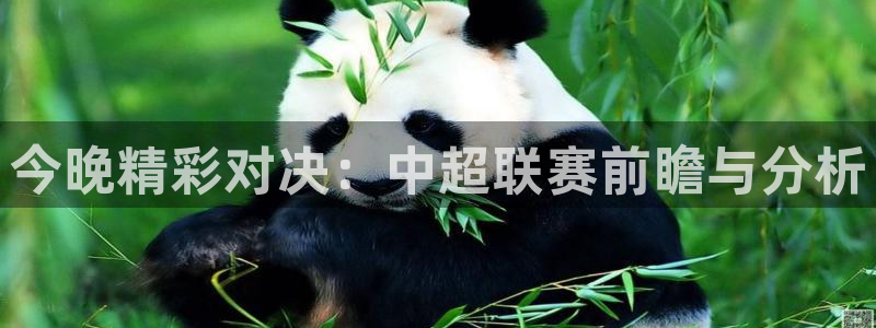 今晚精彩对决：中超联赛前瞻与分析