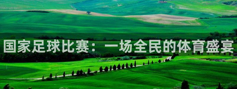 国家足球比赛：一场全民的体育盛宴