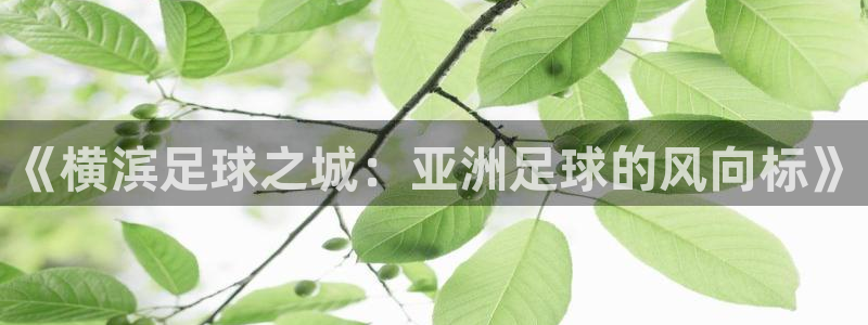 《横滨足球之城：亚洲足球的风向标》