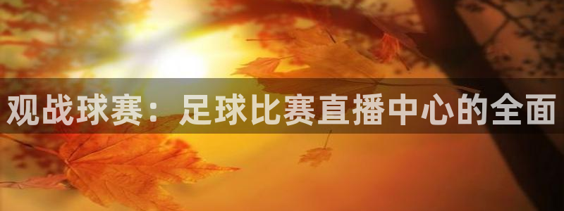 观战球赛：足球比赛直播中心的全面