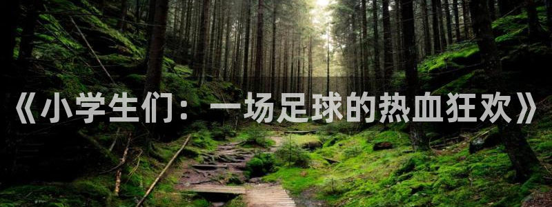 《小学生们：一场足球的热血狂欢》