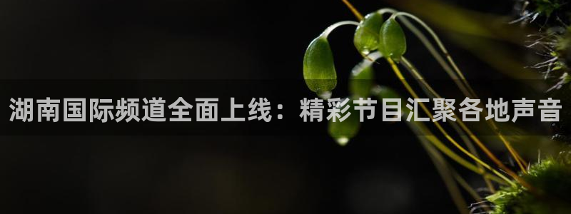 斗球直播dk说球：湖南国际频道全面上线：精彩节目汇聚各地声音