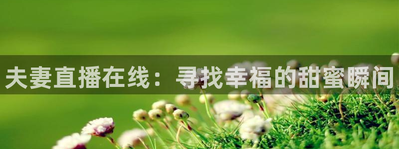斗球免费观看：夫妻直播在线：寻找幸福的甜蜜瞬间