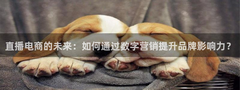 斗球直播在线：直播电商的未来：如何通过数字营销提升品牌影响力？