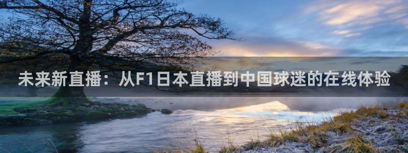 斗球比赛直播免费观看