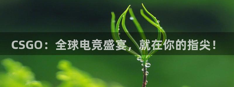斗球体育nba：CSGO：全球电竞盛宴，就在你的指尖！