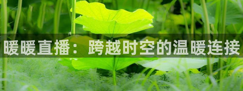 斗球直播苹果：暖暖直播：跨越时空的温暖连接