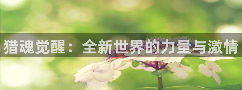 斗球直播app怎么下载：猎魂觉醒：全新世界的力量与激情